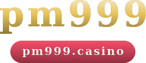 pm999 logo